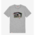 250 HEATHER GREY