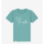 060 TEAL MONSTERA